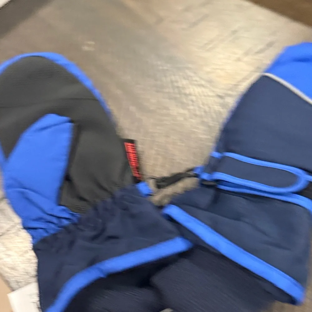 The Children's Place Navy and Royal Blue Mittens